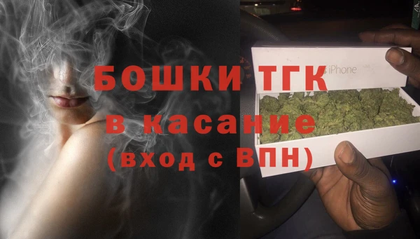 дживик Костерёво