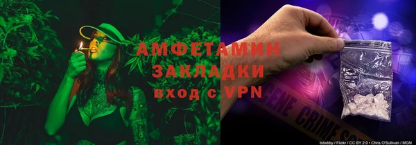 крисы Козловка