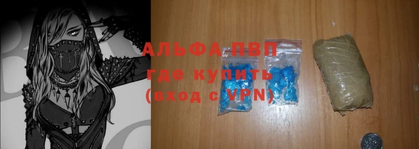крисы Козловка