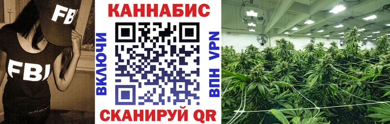 купить наркотики цена  Княгинино  Конопля ГИДРОПОН 